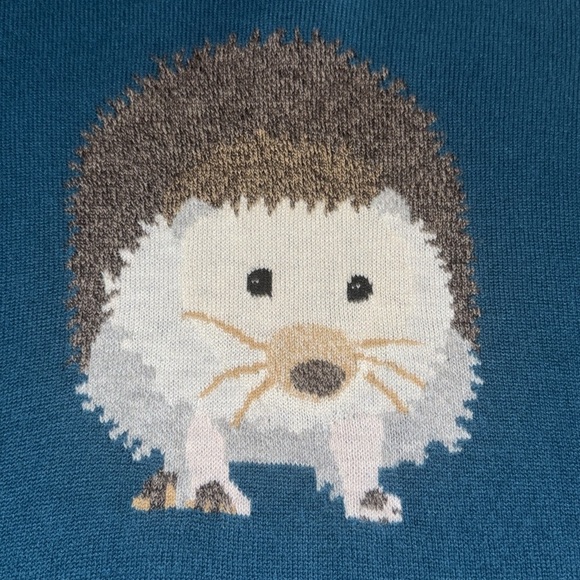 Talbots Teal Lambswool Blend Hedgehog Pullover Sweater - Picture 5 of 8